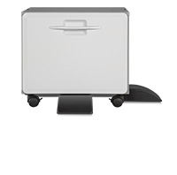 Ricoh Cabinet, (100468FNG)
